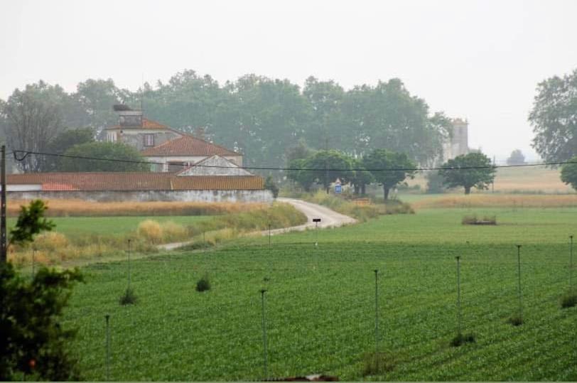 Penzion Casa De Azzancha Azinhaga Exteriér fotografie