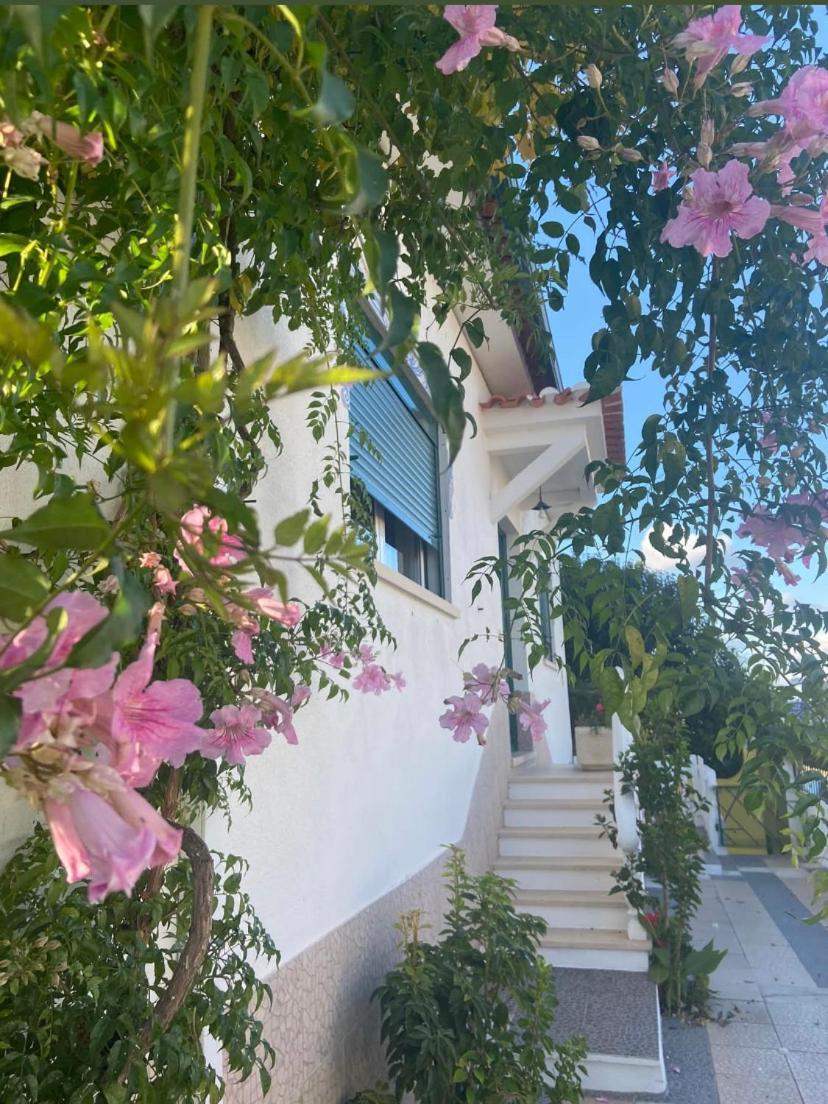 Penzion Casa De Azzancha Azinhaga Exteriér fotografie